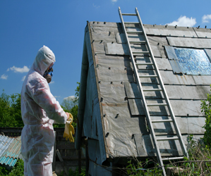 Asbestos Removal Squad moving into Abate some dangerous Asbestos